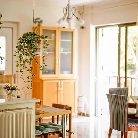 Blossom Kos * Ampavris